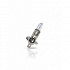 PHILIPS LongLife Eco Vision (H1, 12258LLECOS2) - thumb 2