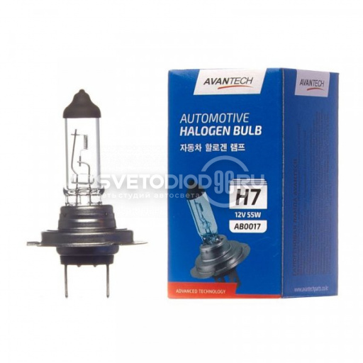 Avantech H7 12V 55W - 0
