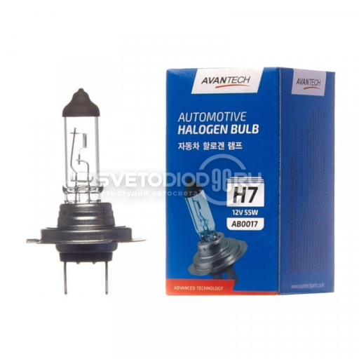 Avantech H7 12V 55W - 0
