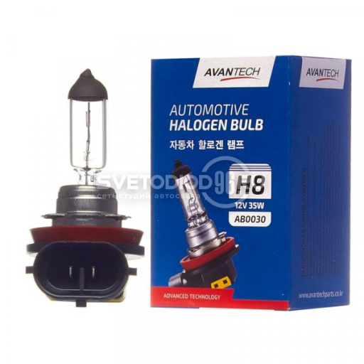 Avantech H8 12V 35W - 0
