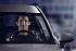 PHILIPS Racing Vision (H4, 12342RVS2) - thumb 4